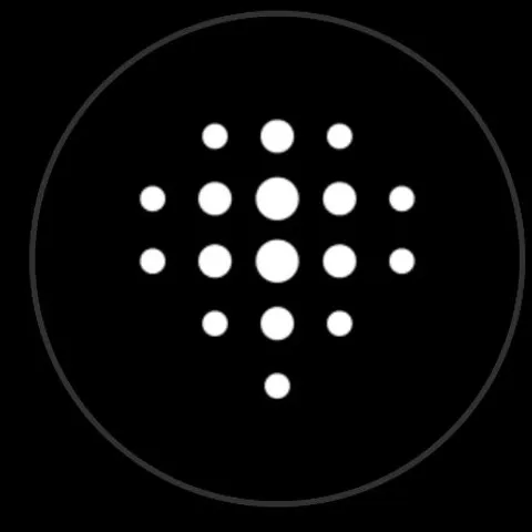 Padel Players ( PP )