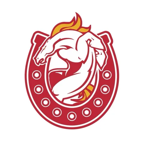 Wollongong Mustangs U15s Flag Football