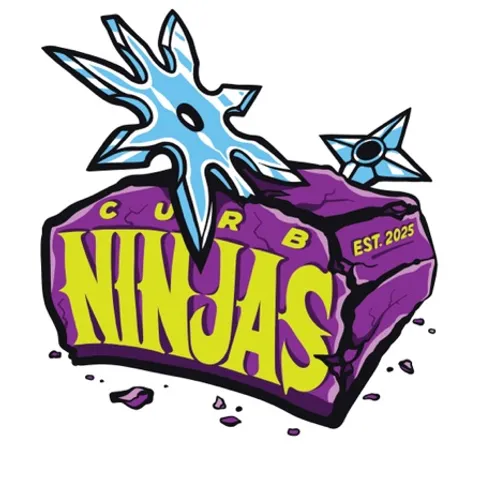 Curb Ninjas