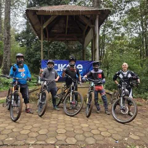 Mountain bikes (Trail, Enduro, Downhill)