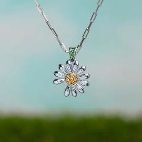 AAS Active Hà Nội