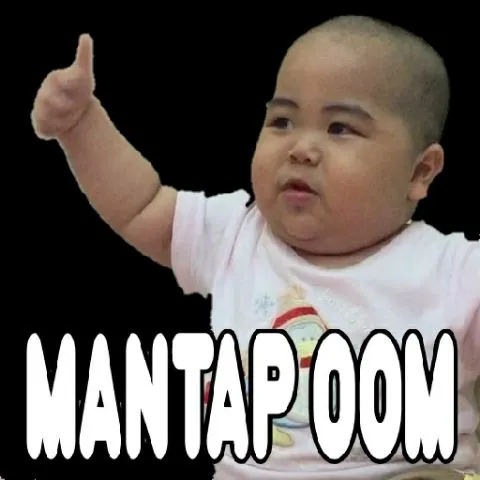 BOX BADMINTON MANSION PLUIT
