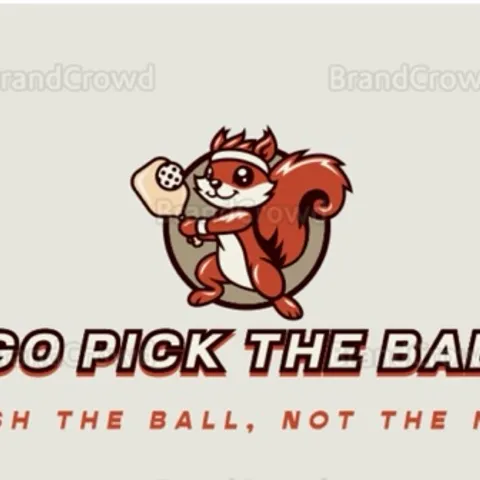 Go Pick THE BALL 