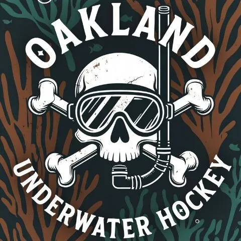 Bay Area Underwater Hockey 