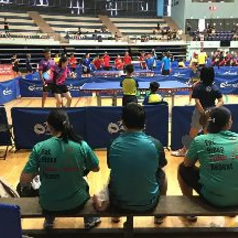 Singapore Table Tennis Ping Pong Players
