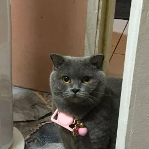  Affin Tournament Training Cyberjaya 