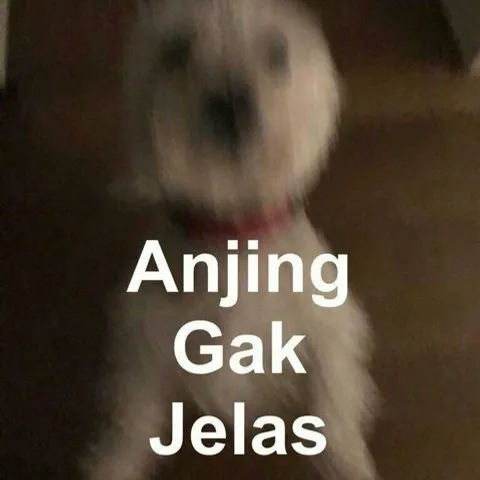 Padel Racing 321 GO!