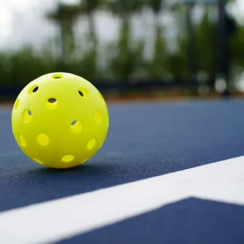 TKO Pickle Live 匹克球人