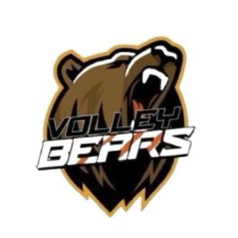 Volleybears PH