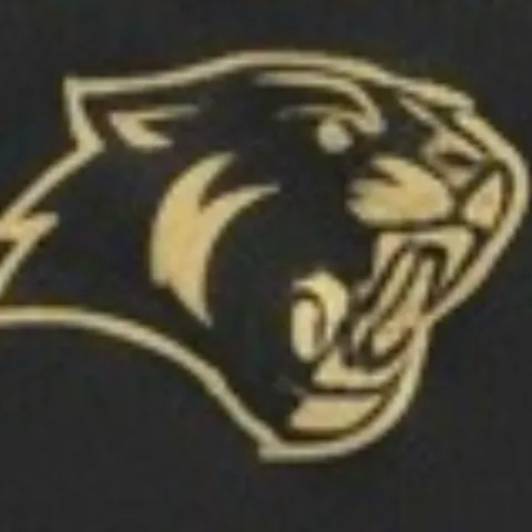 Panthers