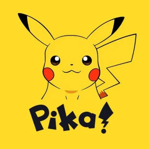 PIKA Porsche Club ™️💡🥎🥇🏆