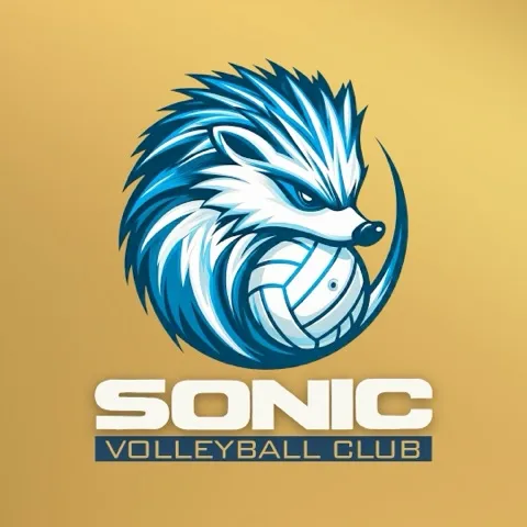 Sonic Volleyball Club