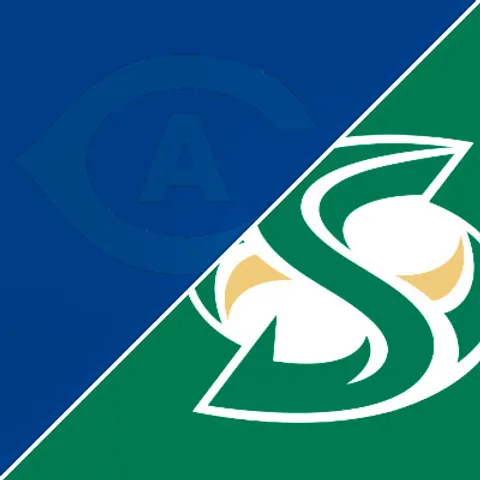 DAVIS VOLLEYBALL CLUB