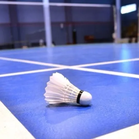 来都来了，来杀球🏸