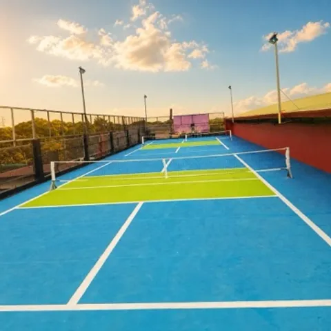 Pickleball Pandi