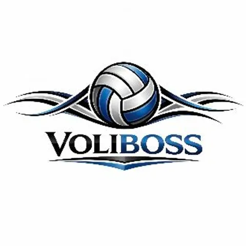 VoliBoss