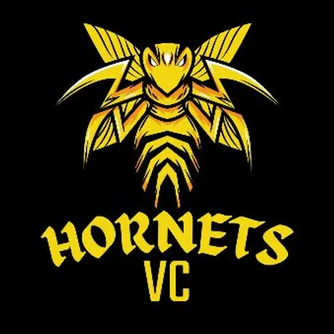 HORNETS VolleyClub