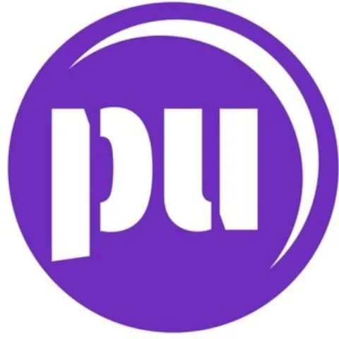 PPU - Pickle Padle United