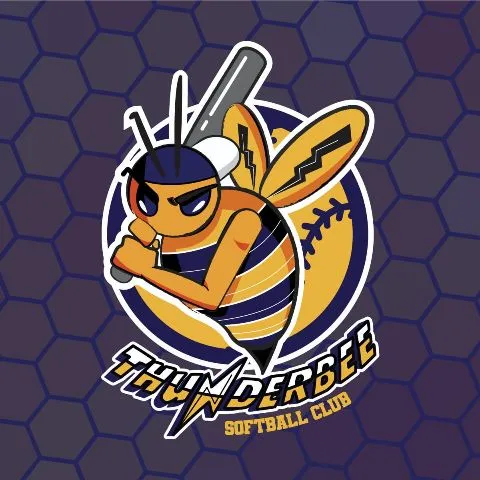 Thunder Bee Slowpitch Community 