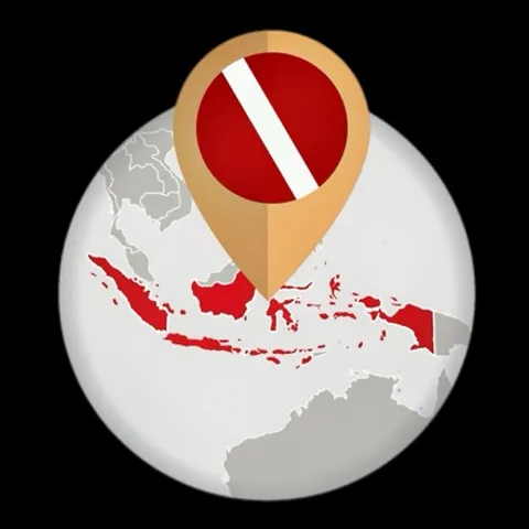 INDONESIA DIVE SAFARIS