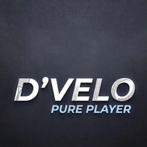 D’VELO Pure Player