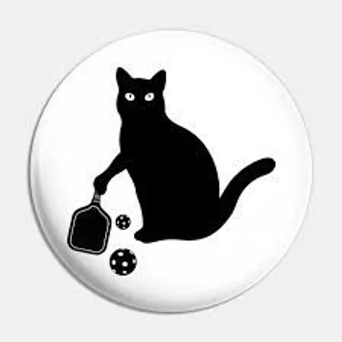 Washington State Pickleball Club