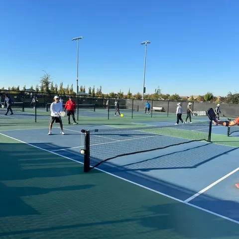 Oasis Park Pickleballers