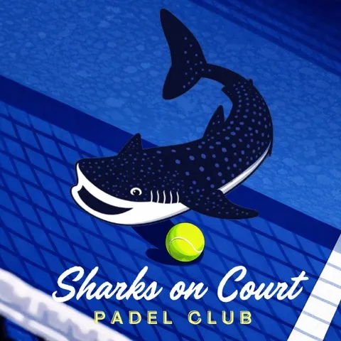 Sharks on Court