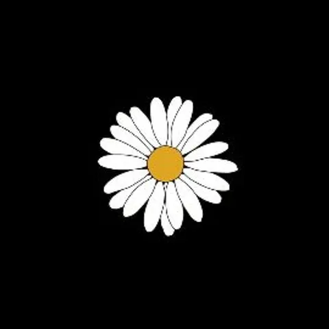 The Pickleball enthusiast club