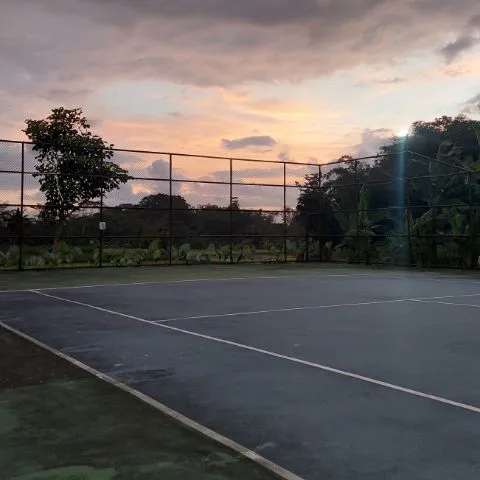 Tennis Indo @Melbourne