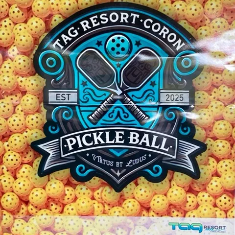 Tag Hotel & Resort Pickleballers