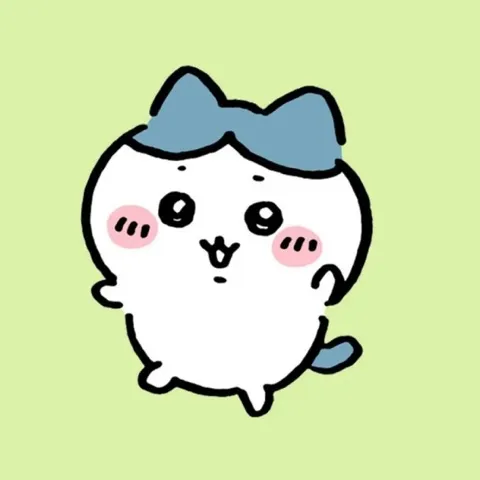 🌀匹克球@大埔🌀