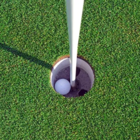 Albatross Padel Club