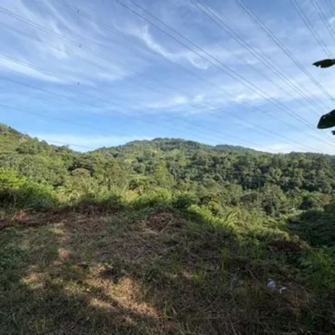 Pj Hikers 