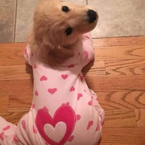 Team Cutie
