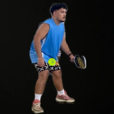 AristiDINKS🥒 