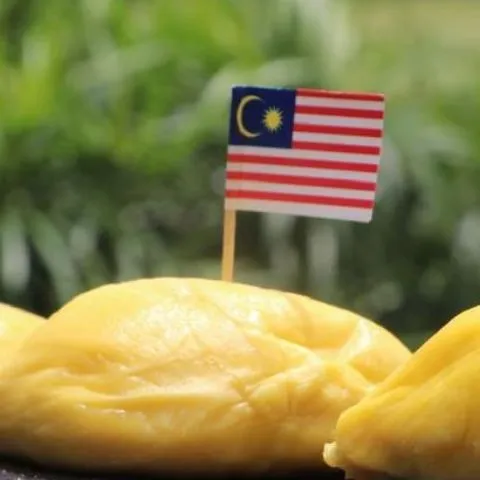 Australian Uni Alumni of Malaysia