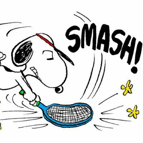 The Big Swing Theory Tennis Club