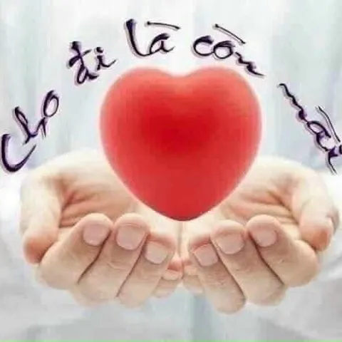 Pickleball Thanh Car