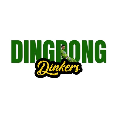 Dingdong DINKers 