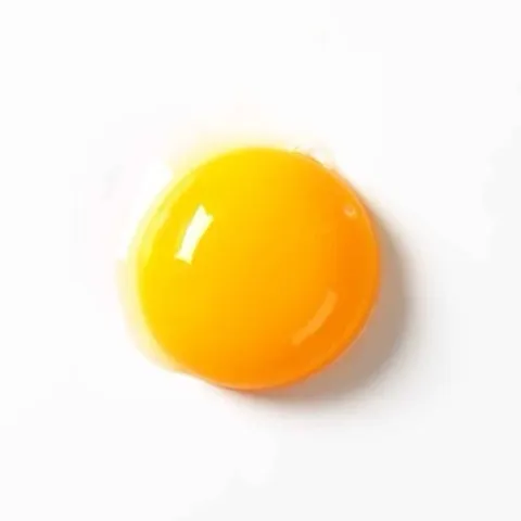 Egg Padel