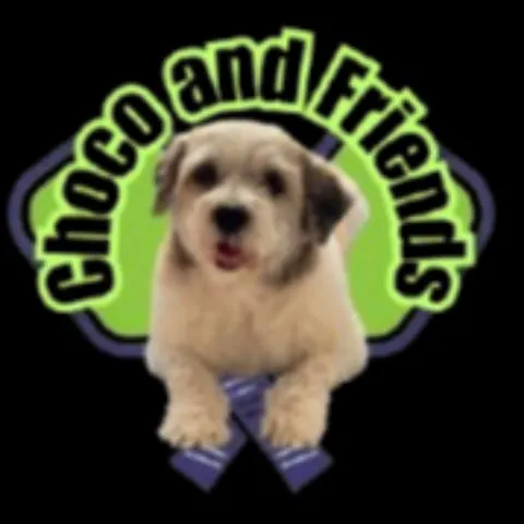 Choco and friends Pickleball Society