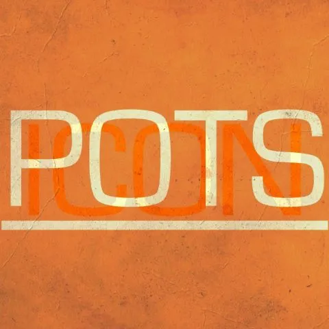 POTSICON