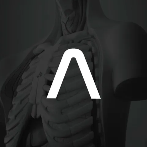 PADEL ANATOMY