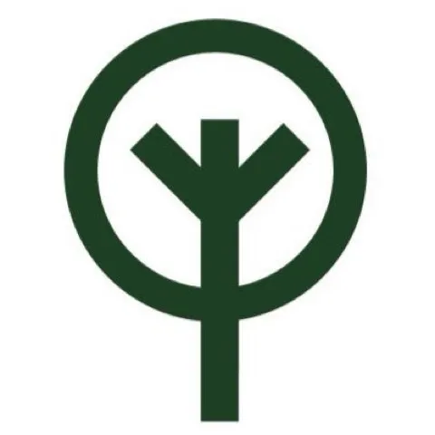 Padel Tree