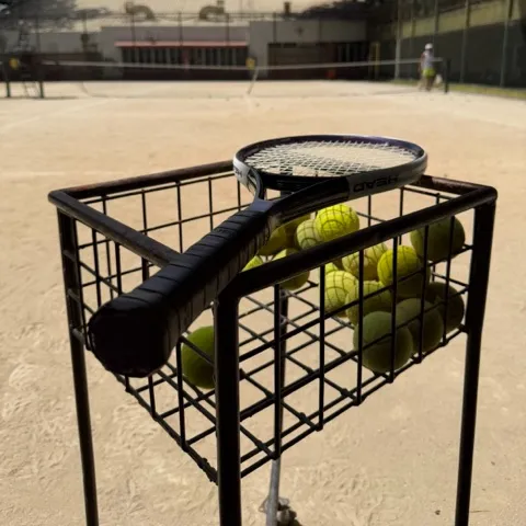 Singles OP 2026