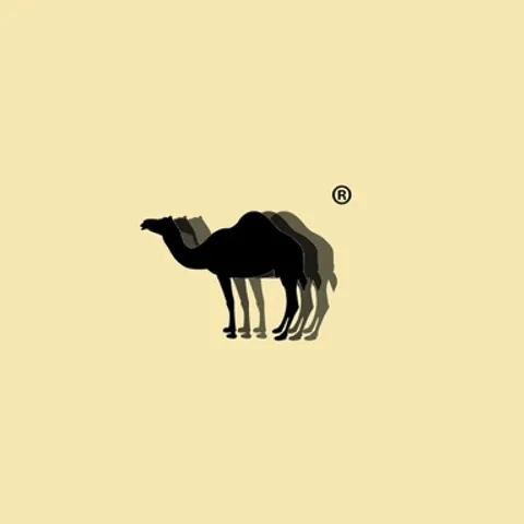 Selatan Padel Klab Bali