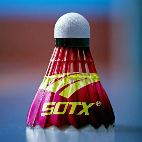 Team SOTX