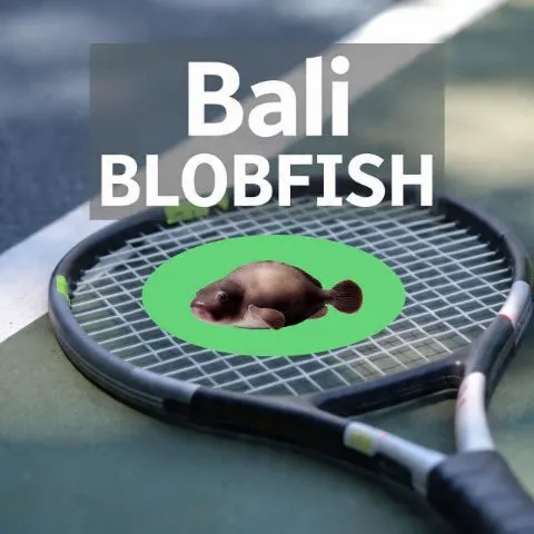Bali pickle blob