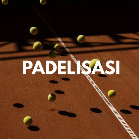 PADELISASI